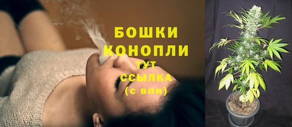 apvp Костерёво
