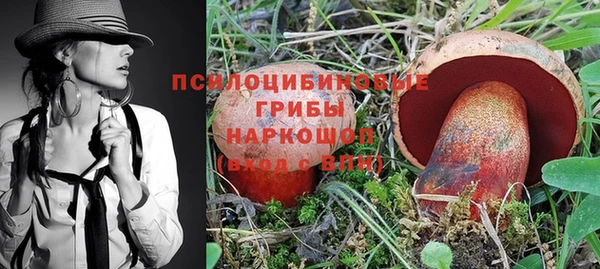 apvp Костерёво