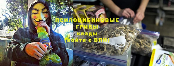 мдпв Коряжма