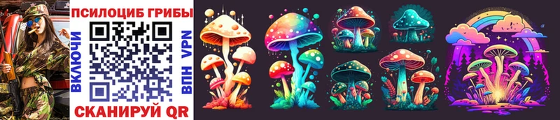 Псилоцибиновые грибы Magic Shrooms  Михайловка 